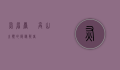 灰眉岩鹀，高山之巅的隐秘歌者