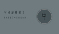 中国新护照，全球化背景下的身份象征与便利工具