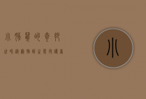 小豚鼠的奇妙世界，从宠物到生态守护者