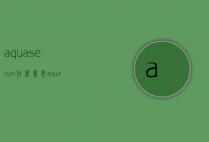 aquaserum什么意思（aquaserum是什么意思）