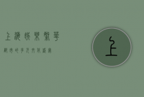 上海娱乐，繁华都市的多元文化盛宴