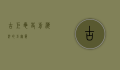 古巨龟，史前海洋的巨无霸