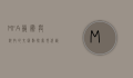 MFA，艺术与科技的交汇点—探索现代艺术教育的新维度
