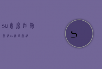 su怎么自动开洞（su墙面开洞）