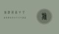 旅游服务中心，连接游客与目的地的桥梁