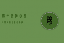 阳光海滩，自然的馈赠与心灵的慰藉