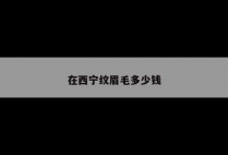 在西宁纹眉毛多少钱