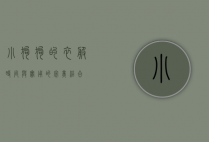 小狗狗的衣服，时尚与实用的完美结合