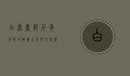 白鹿书院，千年学府的智慧之光与文化传承