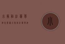 小龙船红葡萄酒怎么样（小龙船红葡萄酒怎么样啊）