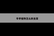 冬季植物怎么防虫害
