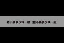 猪小肠多少钱一根（猪小肠多少钱一副）