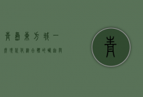 青岛东方城，一座现代化综合体的崛起与城市发展新引擎