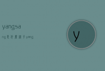 yangsang是什么牌子（yangli品牌官网）