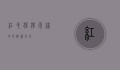 红毛猩猩，雨林中的智慧巨匠