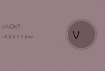 viv0x3v电信版多少钱（fruit词组）