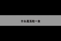 什么是五险一金
