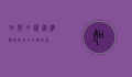 如何申请，从准备到成功的全面指南
