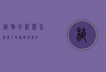 植物分析图怎么画（平面图植物画法）