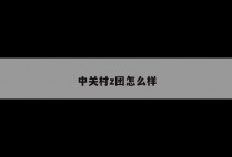 中关村z团怎么样