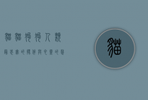 猫猫狗狗，人类最忠实的伙伴与心灵的慰藉
