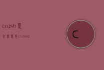 crush是什么意思（crushed是什么意思）