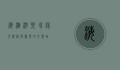海滩游乐场，阳光、海浪与欢乐的交响曲