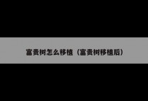 富贵树怎么移植（富贵树移植后）