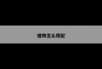 植物怎么搭配