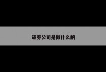 证券公司是做什么的
