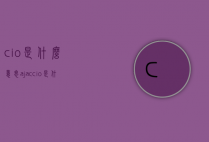cio是什么意思（ajaccio是什么意思）