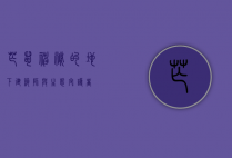 芒鼠，神秘的地下建筑师与生态守护者