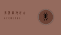 美丽西施，千古佳人的传奇与魅力