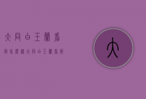 大同白玉兰看病怎么样（大同白玉兰看病咋样）