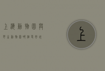 上海动物园与野生动物园，哪个更好玩？