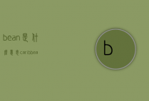 bean是什么意思（caribbean是什么意思）