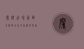 魔兽世界乌龟坐骑，慢行者的荣耀与乐趣