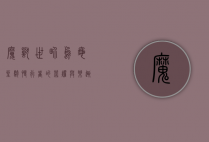魔兽世界乌龟坐骑，慢行者的荣耀与乐趣