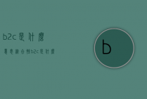 b2c是什么意思（综合性b2c是什么意思）