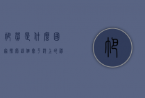 帕劳是什么国家？探索这个太平洋上的神秘岛国