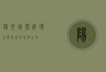 阳光城堡，追寻光与希望的永恒之地