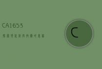 CA1653，探索现代航空技术的里程碑