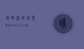 蜻蜓迷宫，自然与科技的奇妙交织