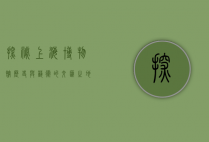 探秘上海博物馆，历史与艺术的交汇之地