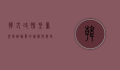韩式改脸型，重塑面部轮廓的艺术与科学