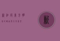新加坡，东方明珠的崛起与未来展望