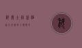 科德士，创新驱动未来，科技引领变革