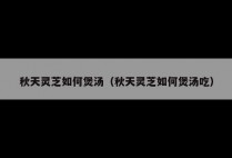秋天灵芝如何煲汤（秋天灵芝如何煲汤吃）