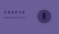 美视国际学校学费解析，投资未来教育的明智选择