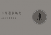 小懒猴，神秘夜行者的生态与保护